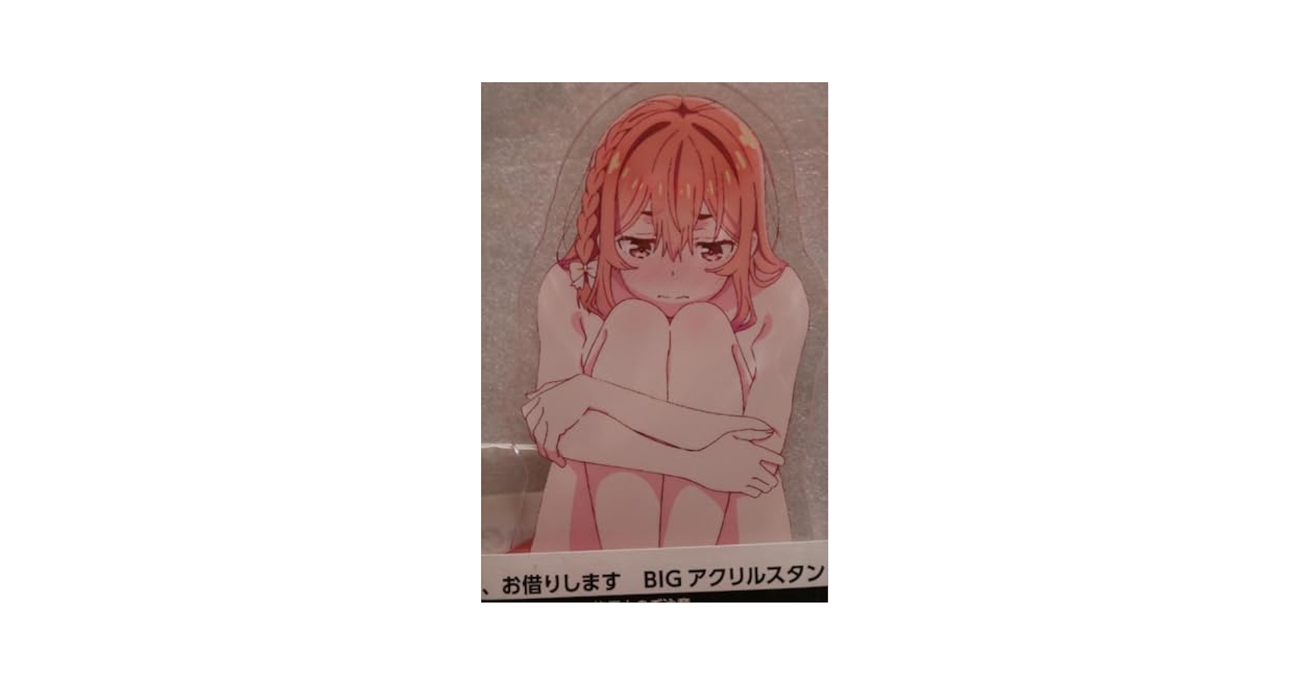 Amazon.co.jp: 桜沢墨 体育座り BIGアクリルスタンド 彼女、お
